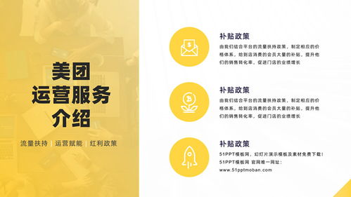 打造專業婚戀服務形象 軟件運營服務公司產品介紹PPT模板